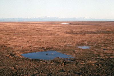Tundra in Alaska