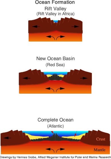 Ocean Formation