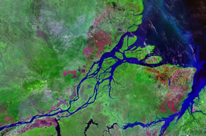 Mouths of the Amazon as seen from space
