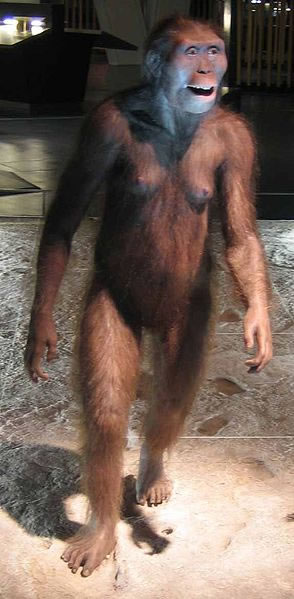 Reproduction of Australopithecus afarensis 