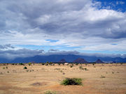 Desolate Landscapes of the Desert