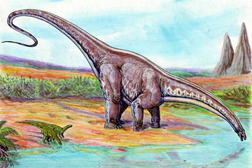 Apatosaurus