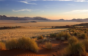 Namib Rand Nature Reserve