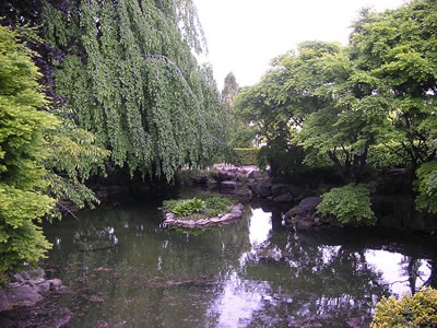 Pond Near Niagara Falls