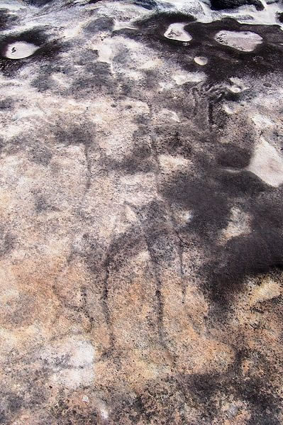 Petroglyph in Australia