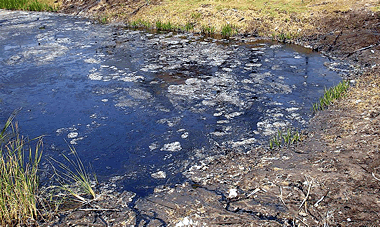 La Brea Tar Pit