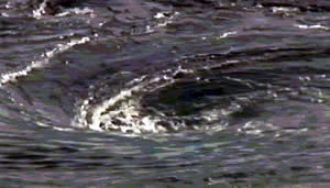 Saltstraumen Maelstrom Whirlpool