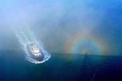 Solar Glory, Brocken Specter Golden Gate Bridge